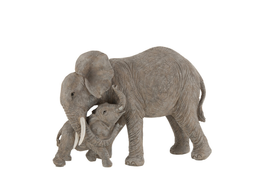 ELEPHANT CALIN GRIS