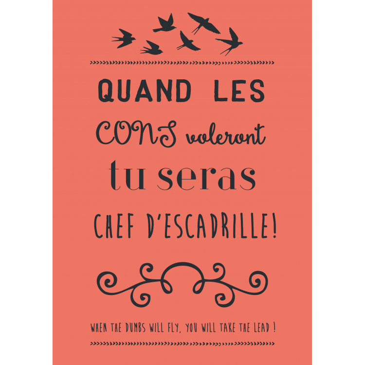 TORCHON COMIQUE 50X70 CORAIL