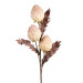 FLEUR CLEMA BEIGE CLAIR ROSE