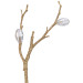 BRANCHE PIERRES OR TRANSPARENTES